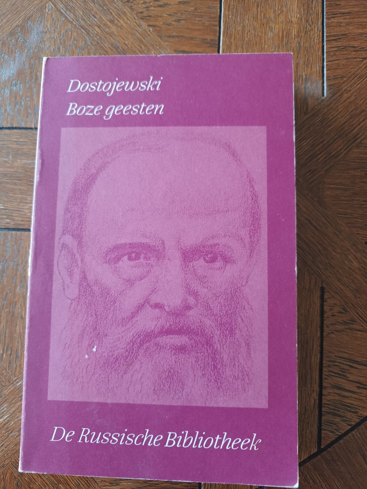 Dostojewski - Boze geesten (De Russische Bibliotheek), Boeken, Ophalen of Verzenden, Gelezen, Dostojewski, Europa overig