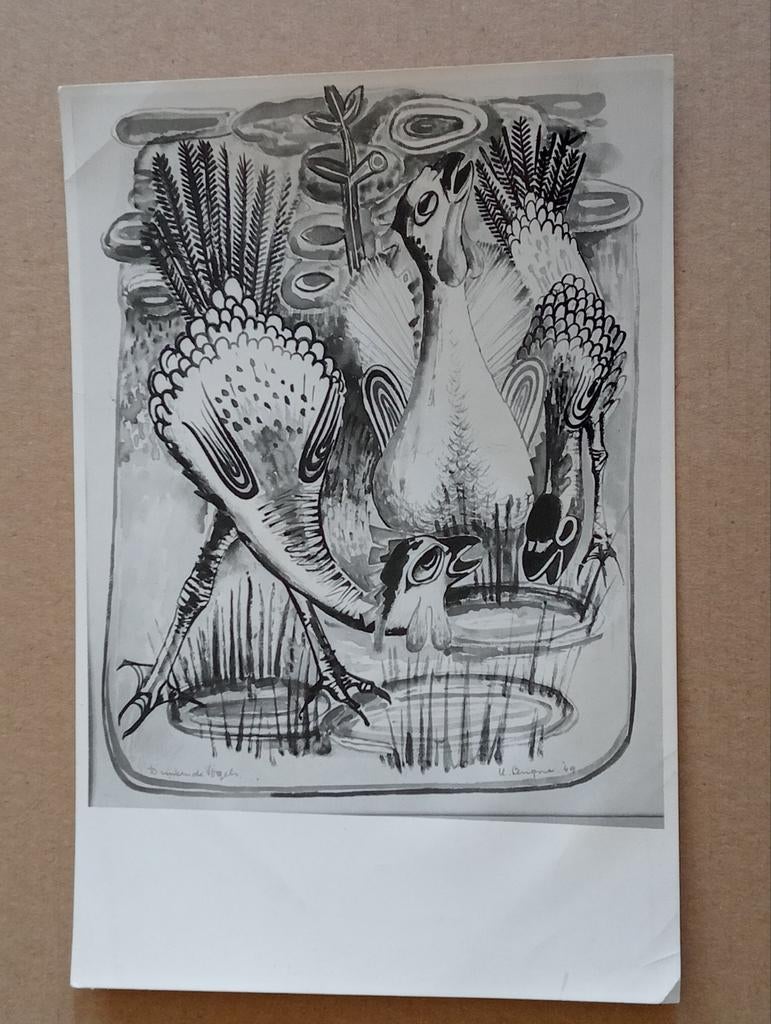 Hubert Levigne persfoto jaren 70, Antiek en Kunst, Ophalen of Verzenden