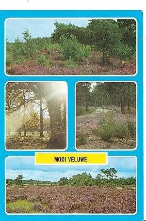 Ansichtkaart 	Putten	Mooi Veluwe	Vakantiecentrum	4-luik, Verzenden, 1960 tot 1980, Gelopen, Gelderland