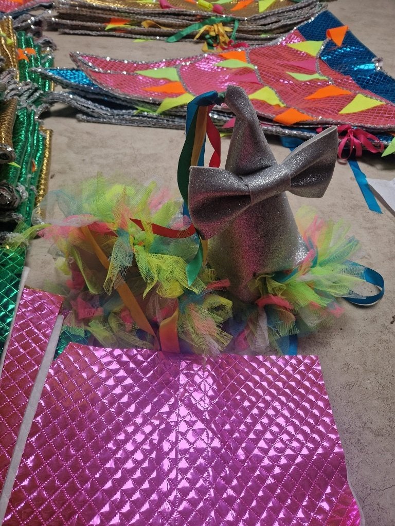 Foto 9 van Carnavalskleding loopgroep optocht/stoet vlaggentjes pakken