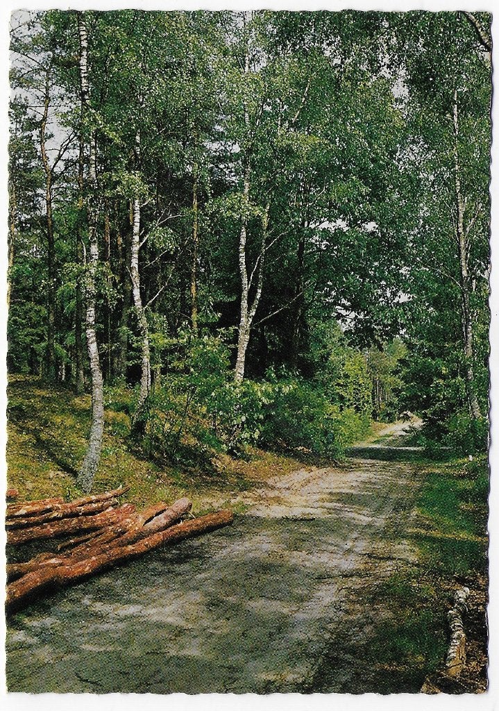Nunspeet Gelopen Ansichtkaart ( B6020), Ophalen of Verzenden, 1980 tot heden, Gelopen, Gelderland