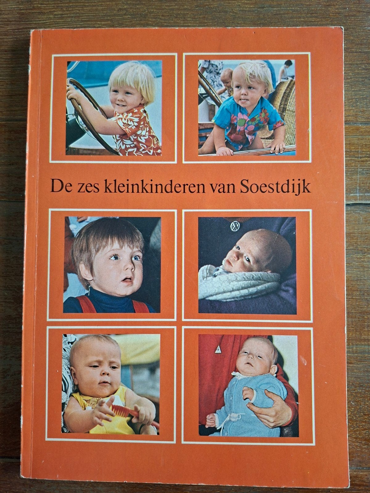 De zes kinderen van Soestdijk, Boeken, Ophalen of Verzenden