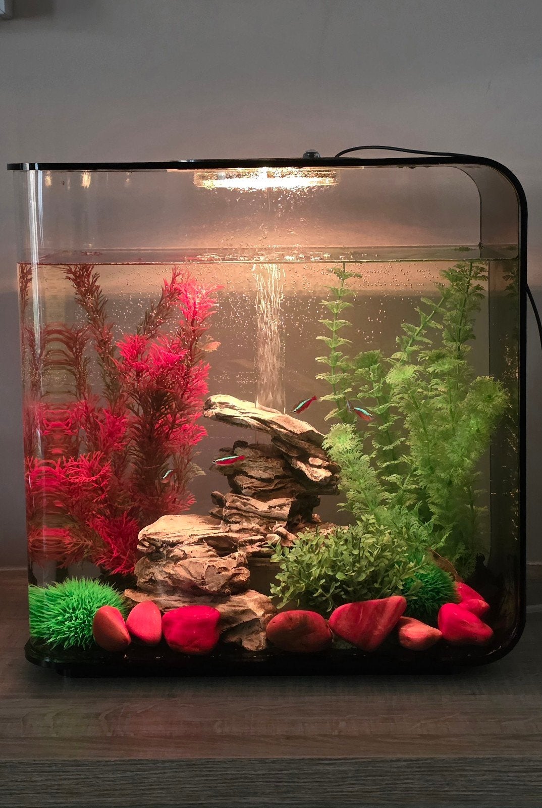 Biorb 30 l. aquarium inclusief toebehoren, Ophalen, Inclusief vissen, Gebruikt, Gevuld zoetwateraquarium