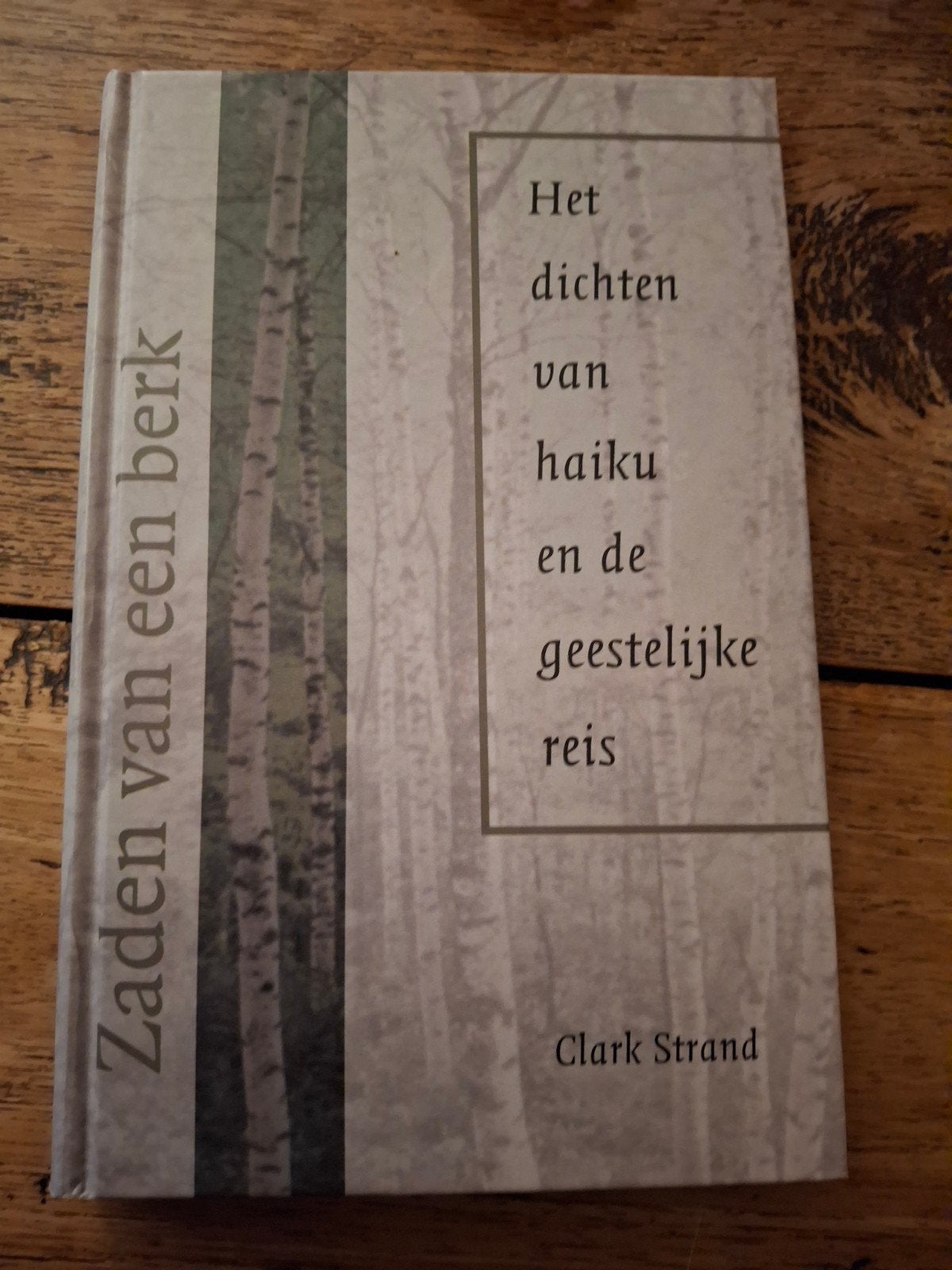 C. Strand - Zaden van een berk, Boeken, Ophalen of Verzenden, Zo goed als nieuw, C. Strand