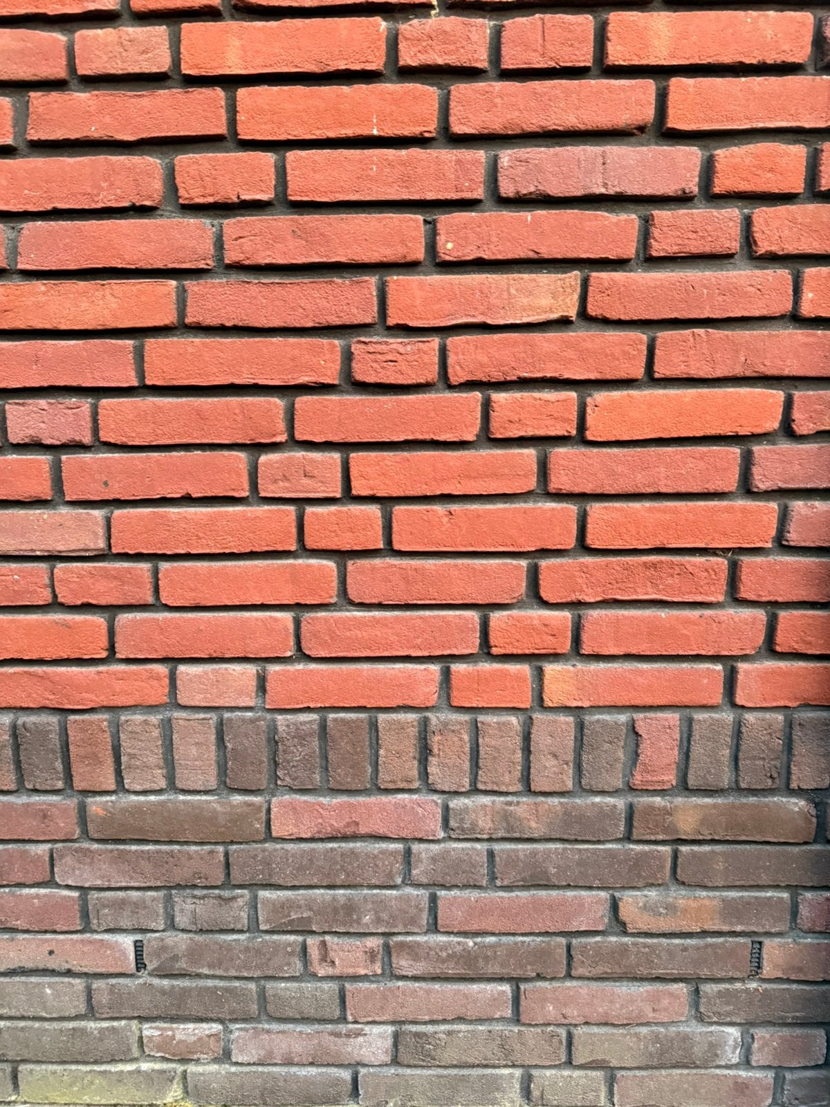 Vogelensangh vormbakstenen 870 stuks, Ophalen, Nieuw, Bakstenen