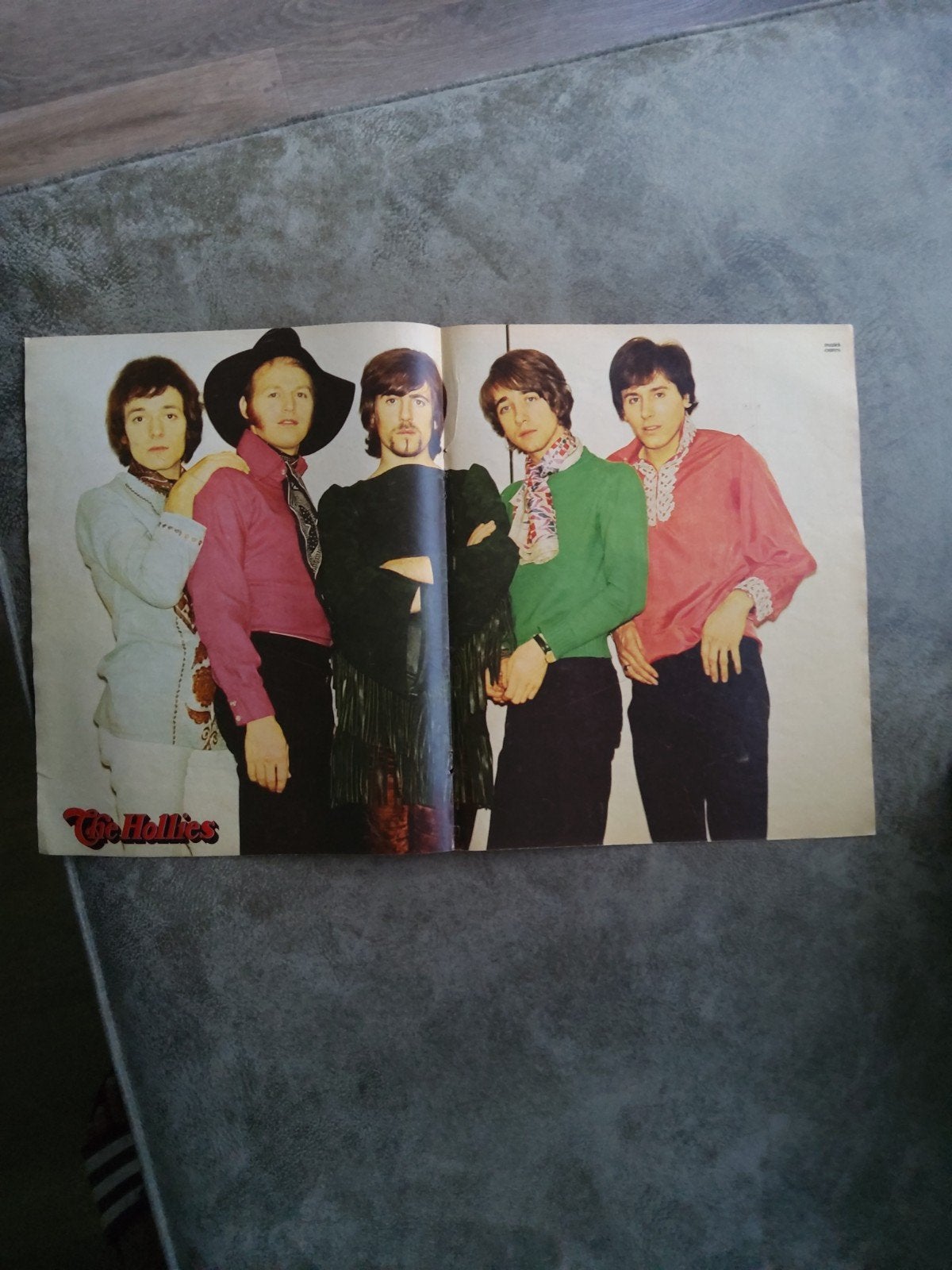 The Hollies:   Poster   muziek expres, Ophalen of Verzenden, A1 t/m A3, Muziek