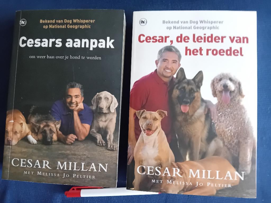 2 boeken van Cesar Millan, Ophalen of Verzenden, Gelezen, Honden