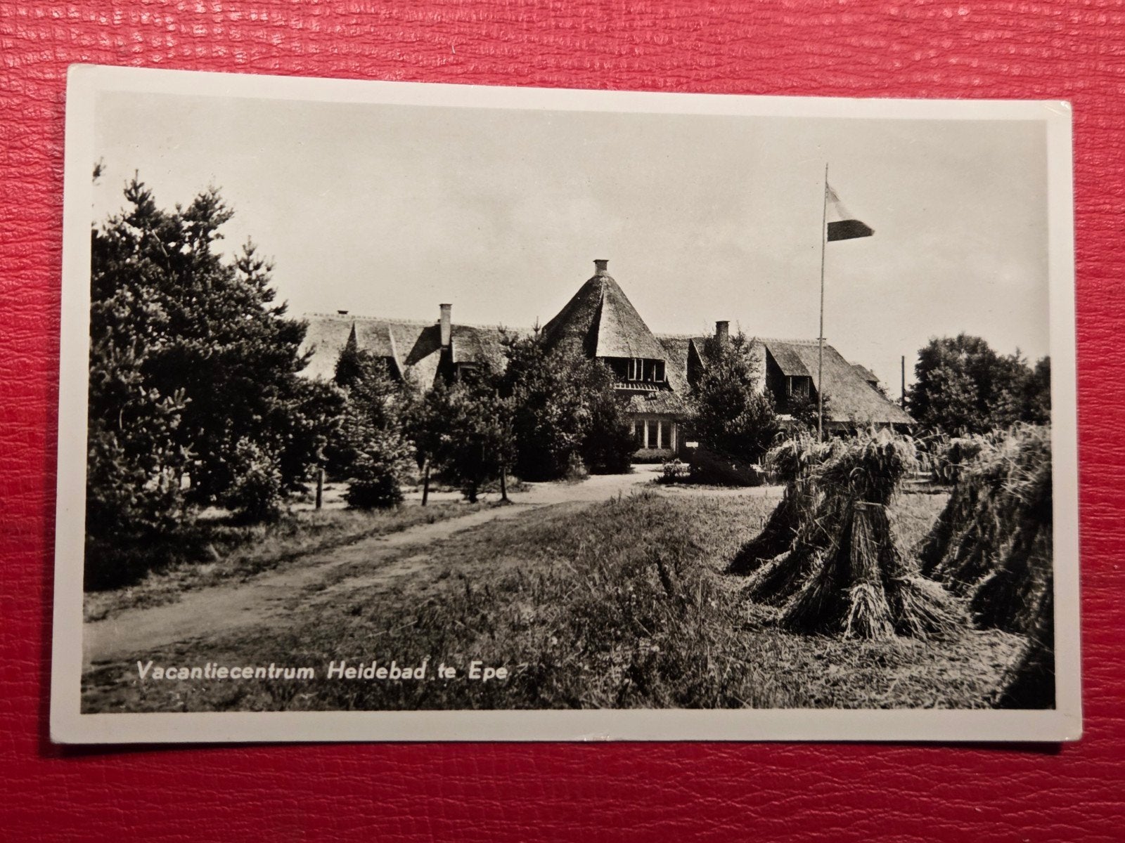 Epe bij Nunspeet Vakantiecentrum Heidebad, Ophalen of Verzenden, 1940 tot 1960, Gelderland