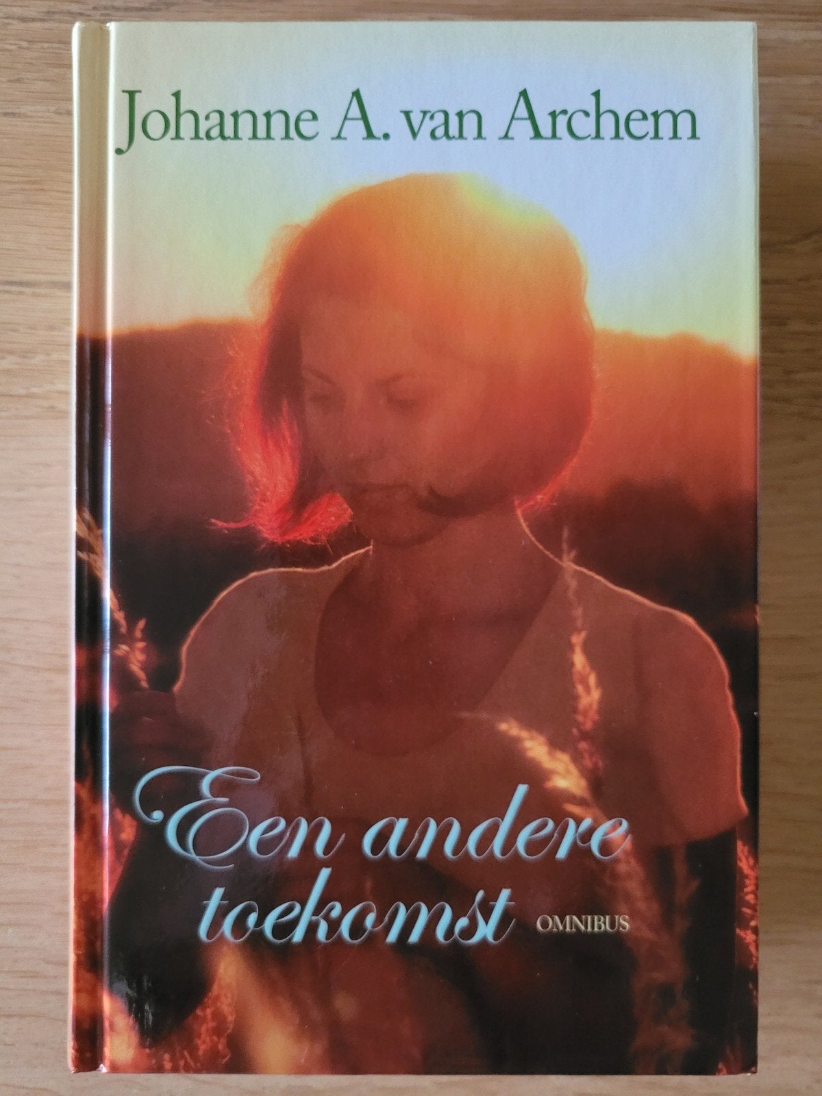Een andere toekomst, Omnibus, Johanne A. van Archem, chr., Ophalen of Verzenden, Gelezen, Gelderland
