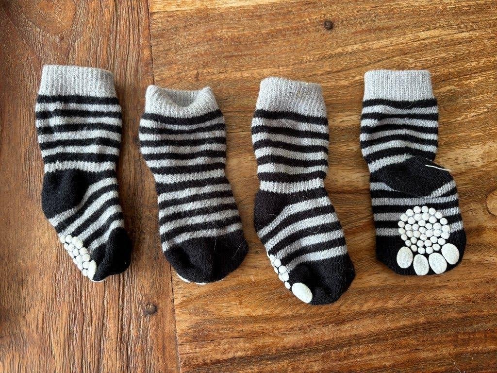 Anti slip honden sokken zo goed als nieuw, Dieren en Toebehoren, Honden-accessoires, Flamingo, Ophalen of Verzenden, Zo goed als nieuw