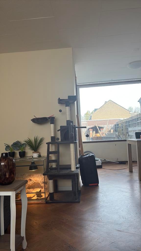 Krabpaal kat, Dieren en Toebehoren, Ophalen, Nieuw