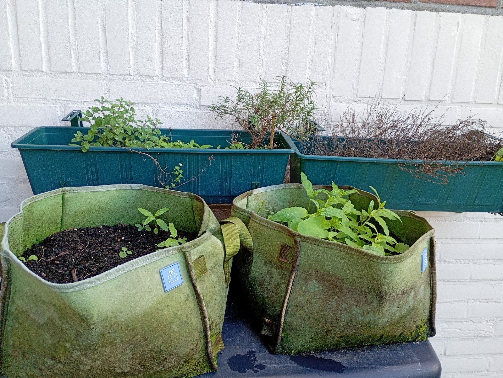 Kweekzakken en bloembakken voor kruiden en planten, Ophalen