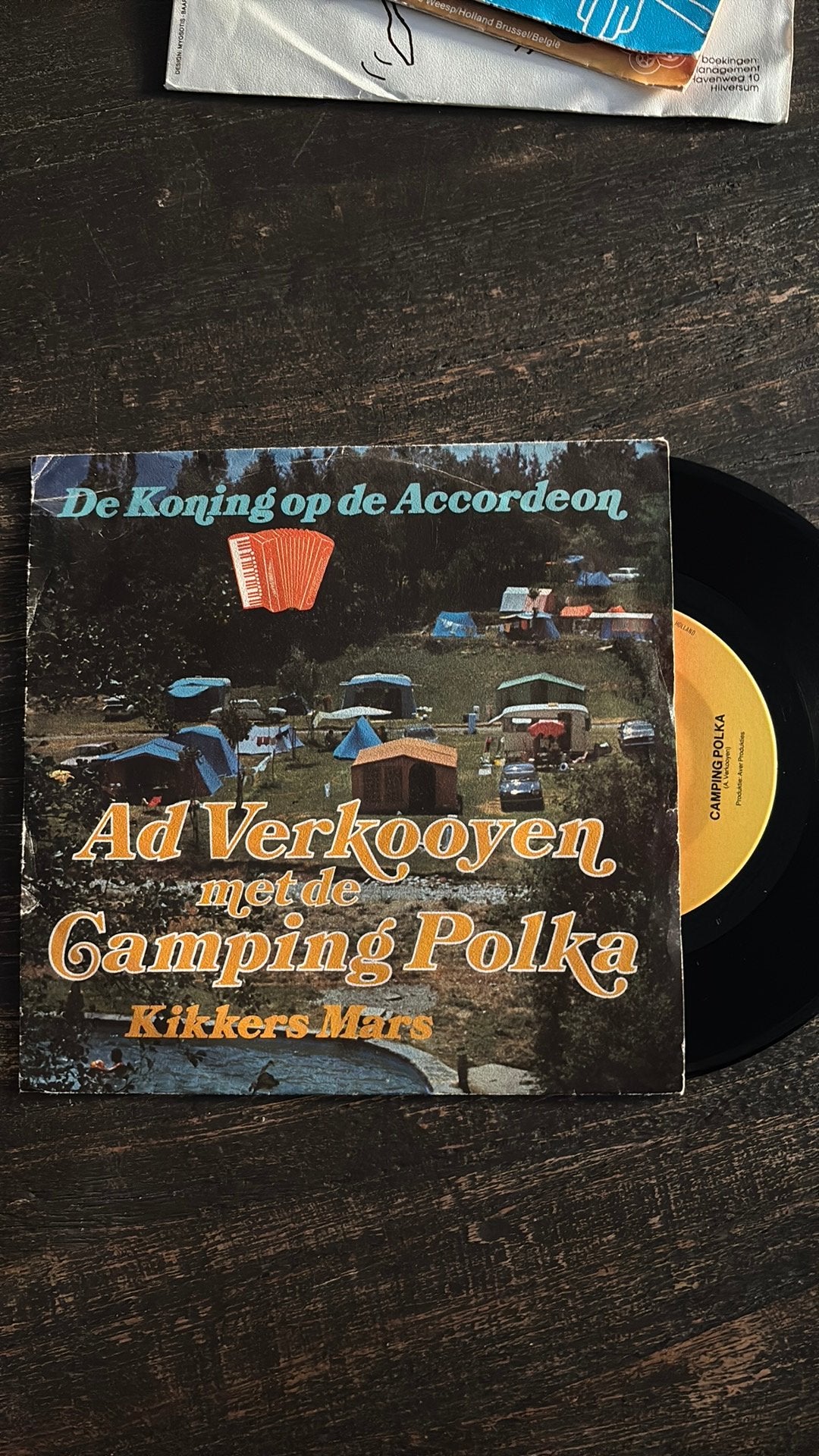 Ad Verkooyen - Camping Polka, Cd's en Dvd's, Ophalen of Verzenden, Zo goed als nieuw, Nederlandstalig