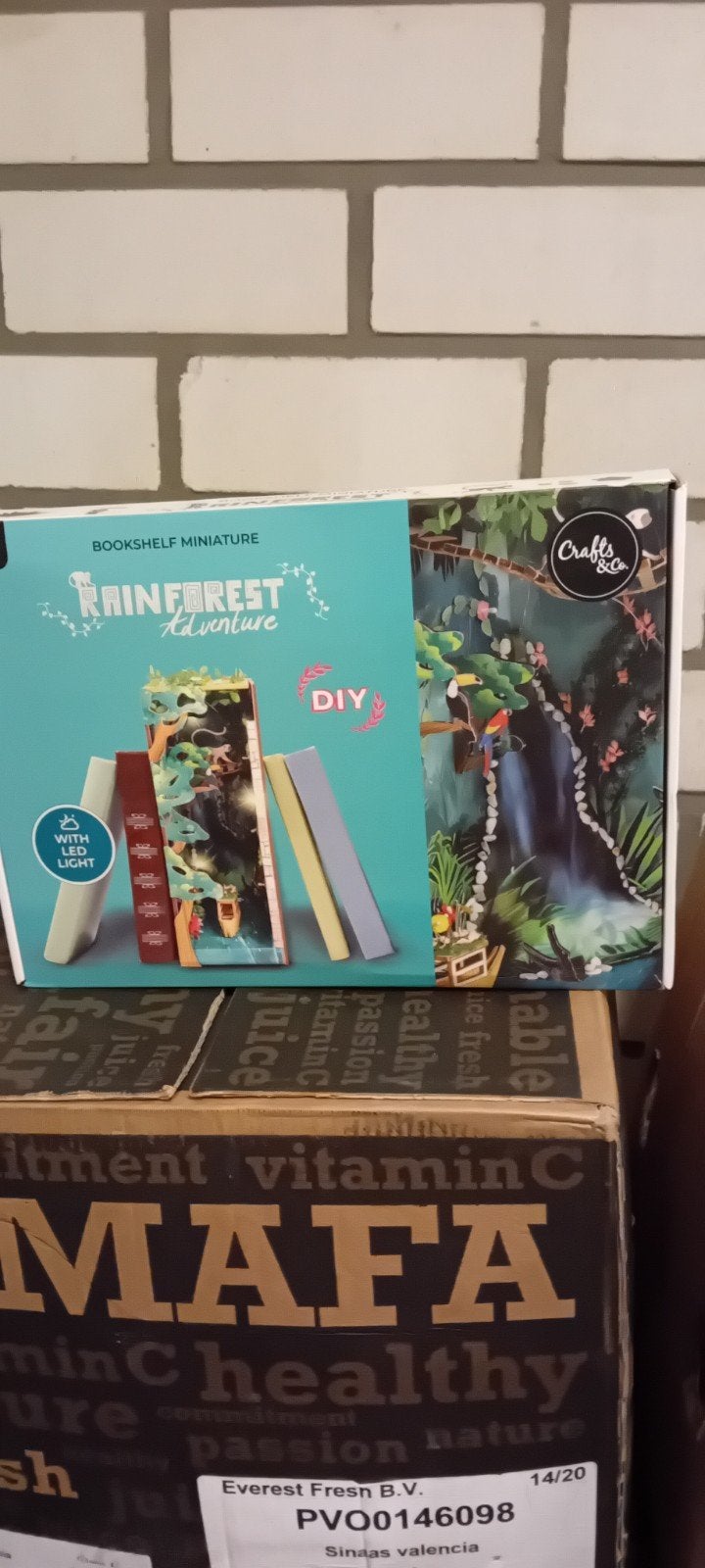 DIY Boekenplank Miniatuur Rainforest Adventure met LED, Hobby en Vrije tijd, Ophalen, Handgemaakt, Nieuw, Meerkleurig