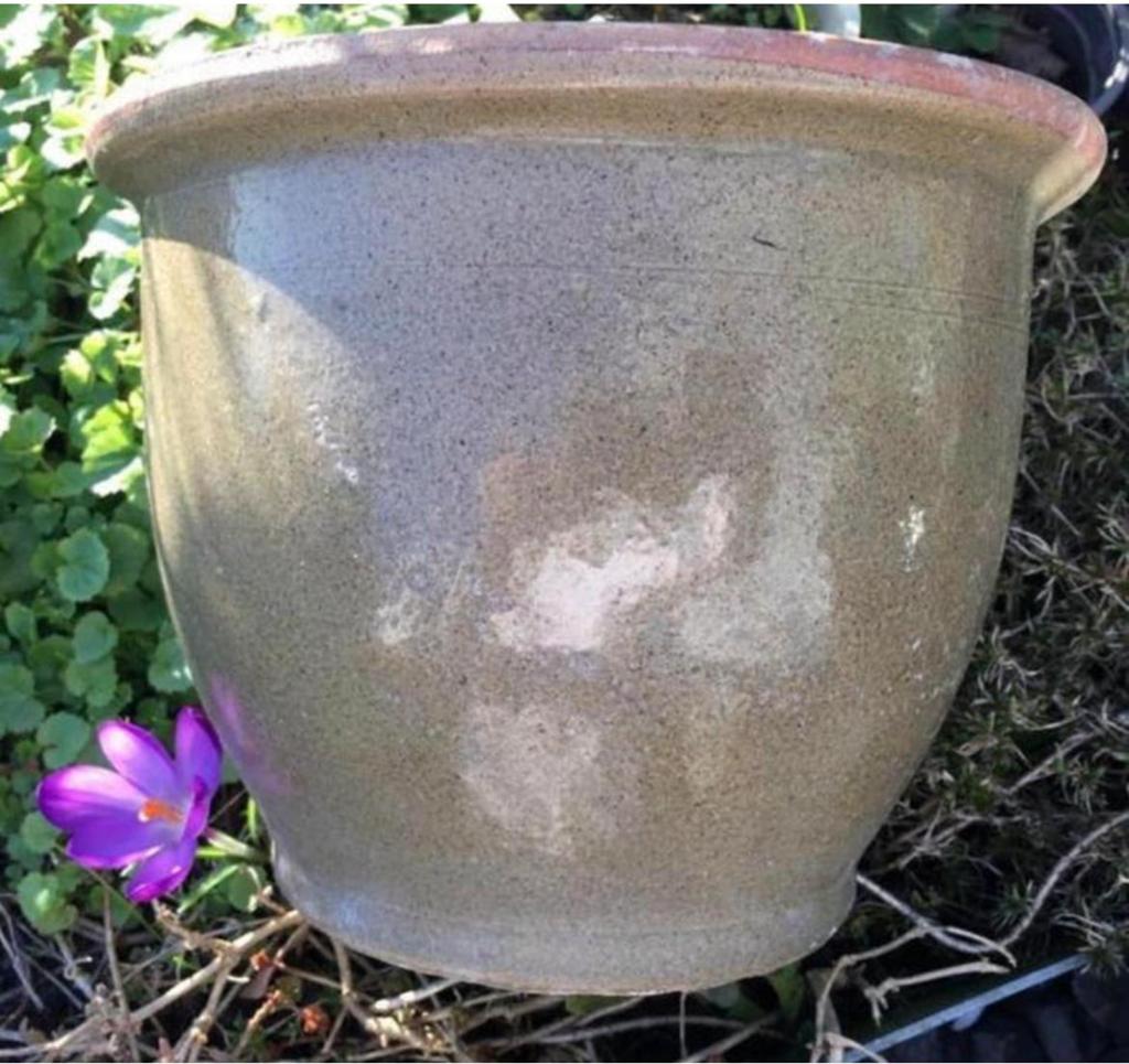 Prachtige oud Hollandse terracotta bloempot geglazuurd groen, Ophalen, Rond, Binnen, Zo goed als nieuw