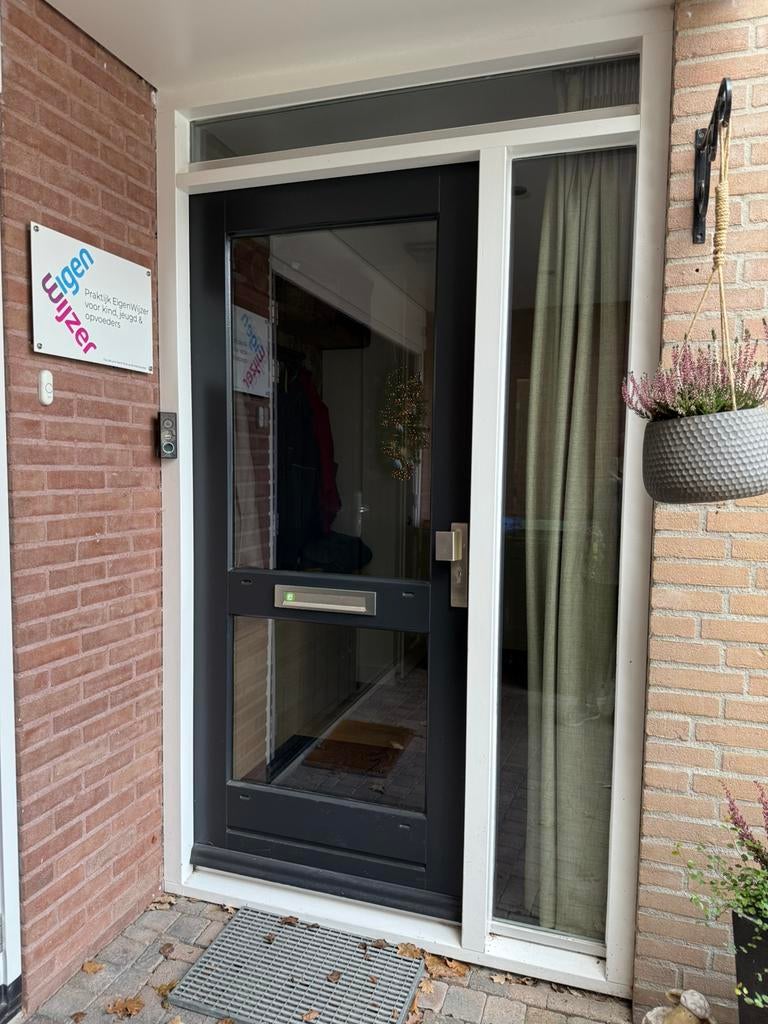 Nette voordeur met glas, Ophalen, Gebruikt, 80 tot 100 cm, Buitendeur