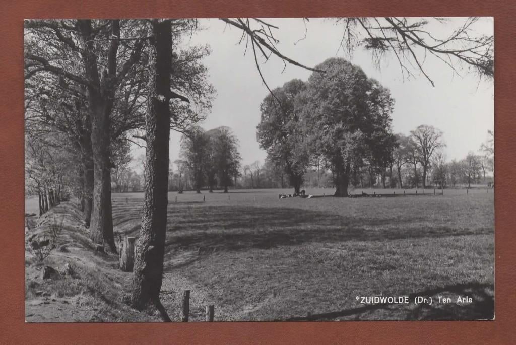 Zuidwolde (Dr.) - Ten Arle - 1974 - Ong., Verzamelen, Ansichtkaarten | Nederland, Verzenden, 1960 tot 1980, Ongelopen, Drenthe