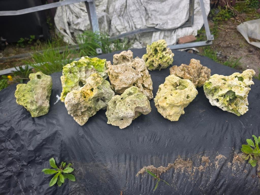 Diverse maanstenen, Dieren en Toebehoren, Ophalen, Plant(en), Steen of Hout