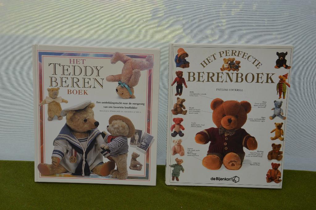 antieke beren/ teddy beren boeken, Bijenkorf, Het perfecte b, Antiek en Kunst, Ophalen of Verzenden