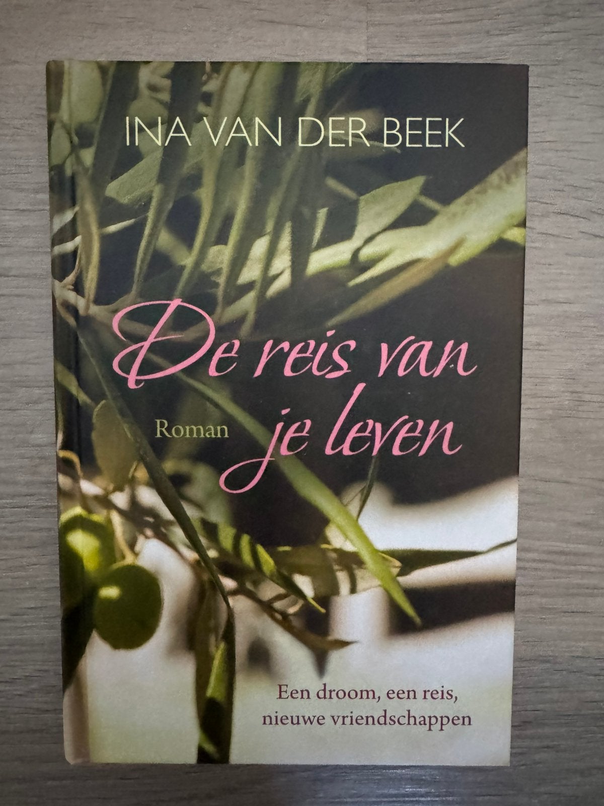 Ina van der Beek - De reis van je leven, Noord-Brabant, Ophalen of Verzenden, Zo goed als nieuw, Ina van der Beek