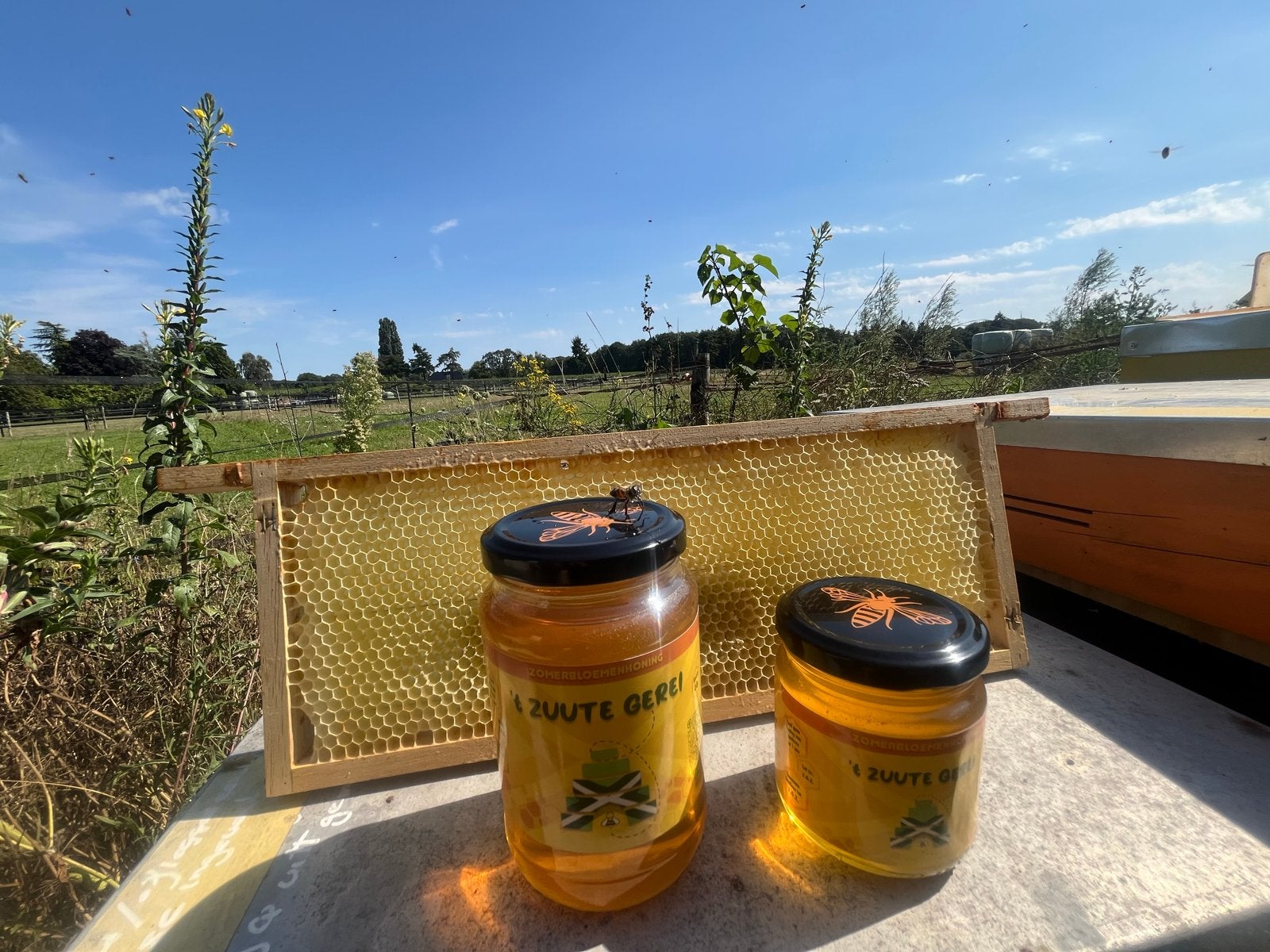Verse honing van eigen bijen - Puur natuur!, Ophalen of Verzenden