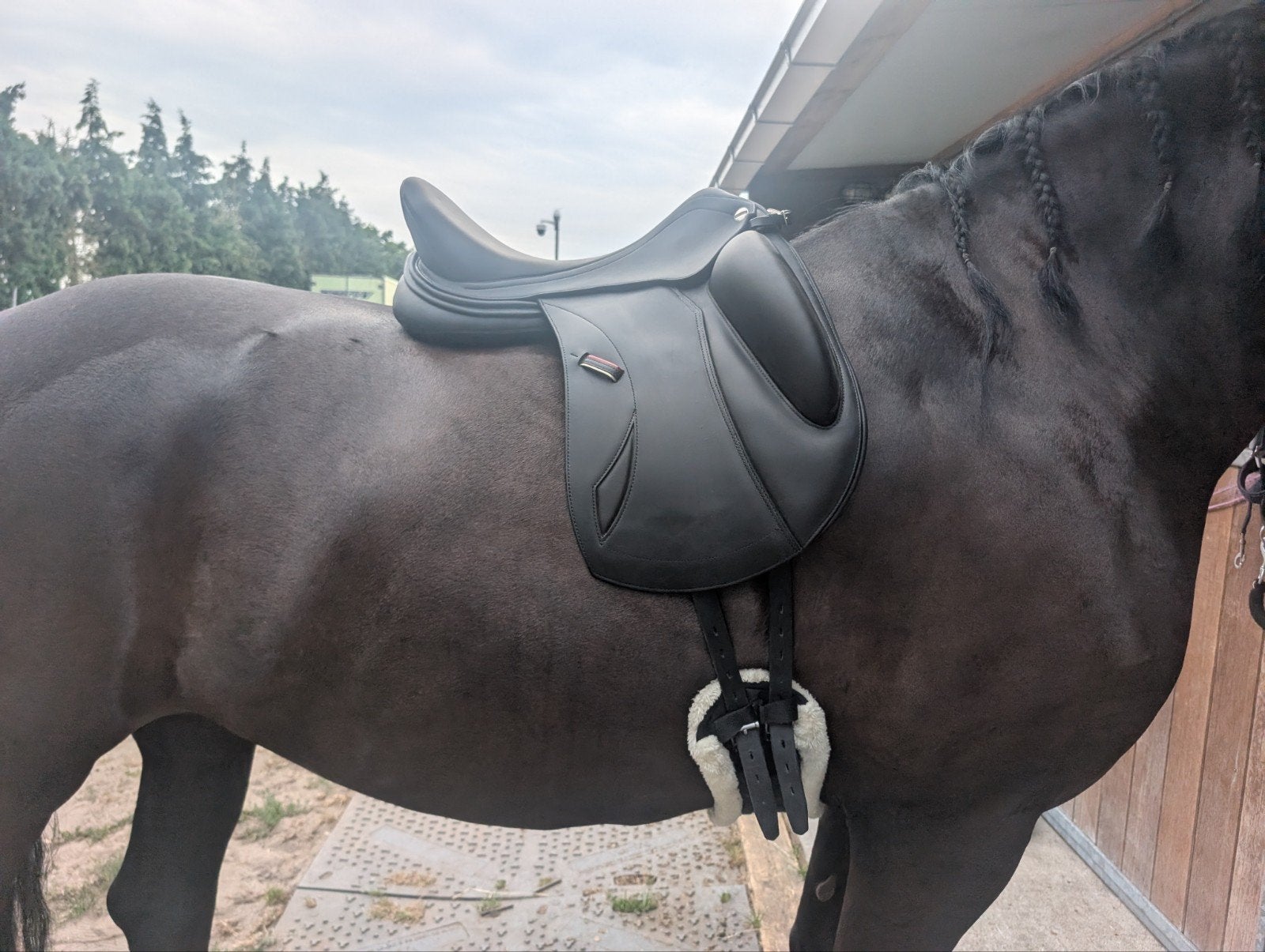 Dressuurzadel ErrePlus Connect Mono WR, Ophalen, Dressuur, Wijd, Aanpassysteem