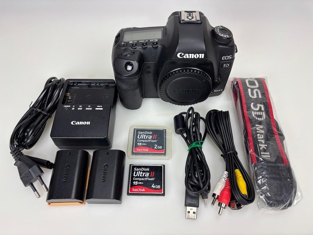 Canon EOS 5D Mark II (53890 clicks - 36% van 200 000), Audio, Tv en Foto, Fotocamera's Digitaal, Gebruikt, Spiegelreflex, Canon