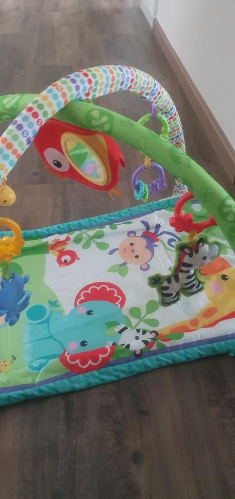 Fisher-Price speelkleed met bogen en speeltjes, Kinderen en Baby's, Speelgoed | Fisher-Price, Ophalen, Zo goed als nieuw, Speelset