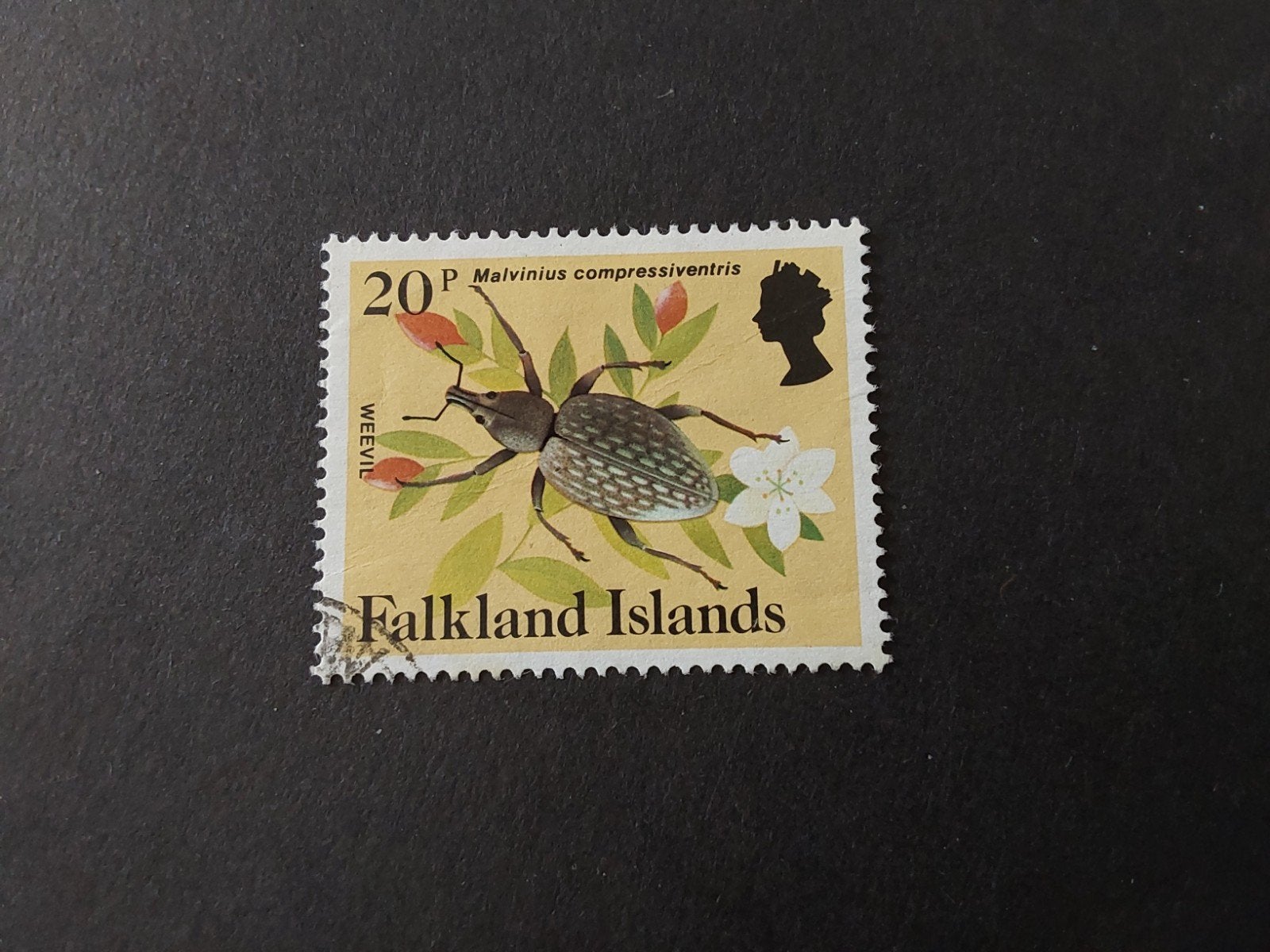 Falkland Eilanden, SG 479A, Verzenden, Gestempeld
