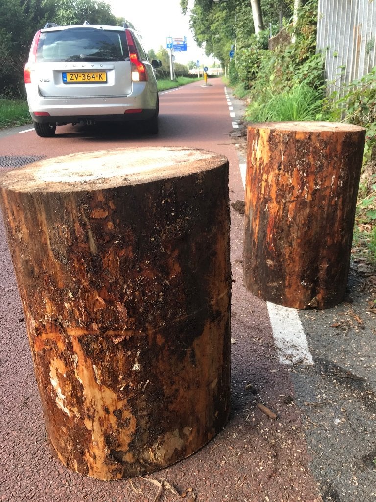 spijkerslaan, spijkerblok, hammerschlagen, hamerslaan,sokkel, Grenen, Nieuw, Ophalen of Verzenden, 50 mm of meer