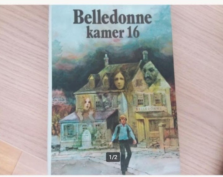 Anke de Vries, Belledonne kamer 16, Ophalen of Verzenden, Zo goed als nieuw