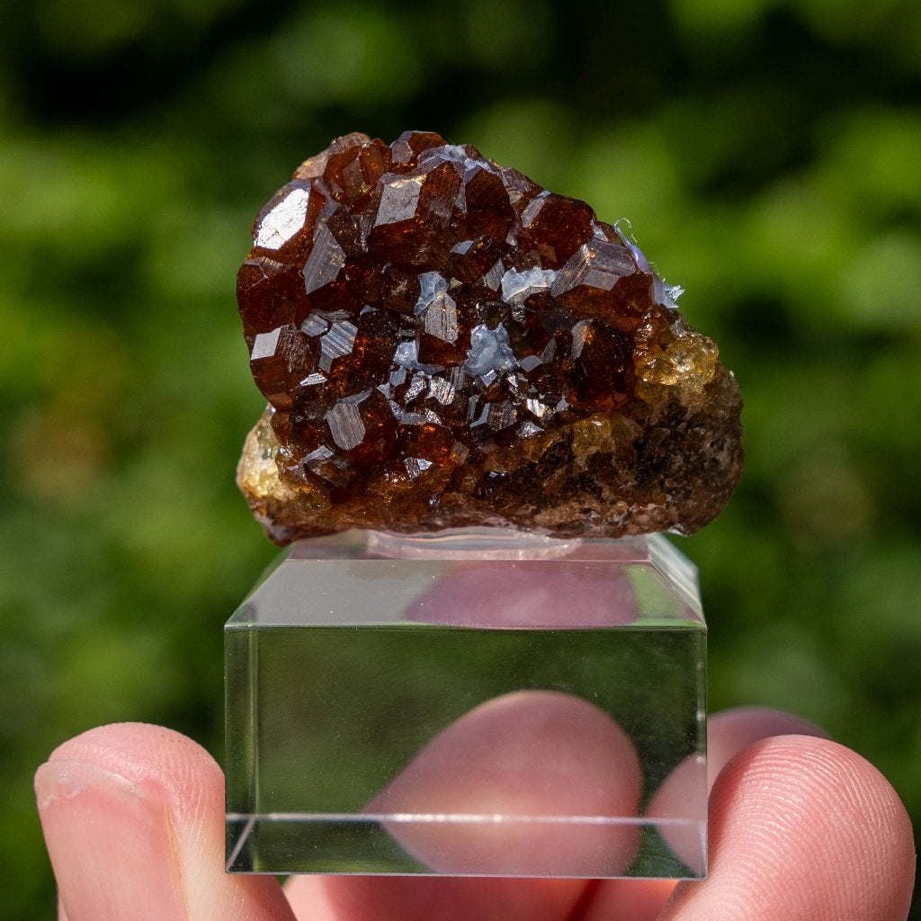 Andradiet granaat, Mali, Ophalen of Verzenden, Mineraal