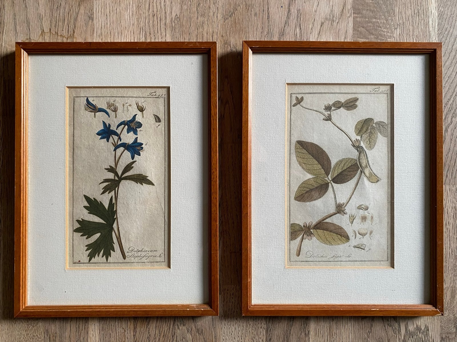 Antieke Botanische Prenten, Ophalen