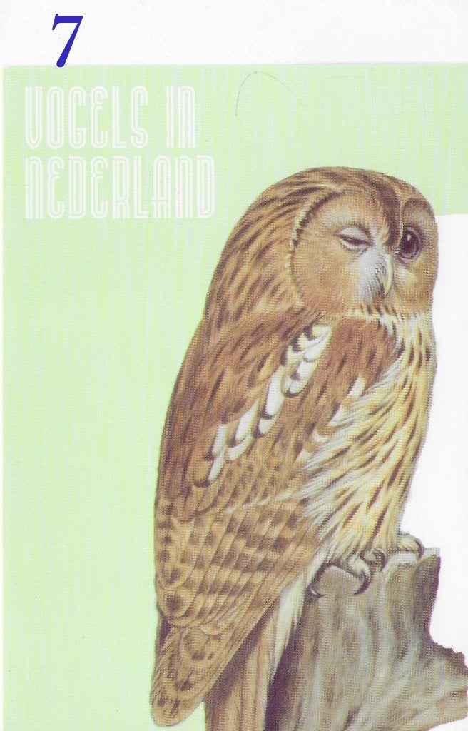 Ansichtkaart Vogels in Nederland Bosuil Bosvogel ( B3935), Verzamelen, Ophalen of Verzenden, 1980 tot heden, Gelopen