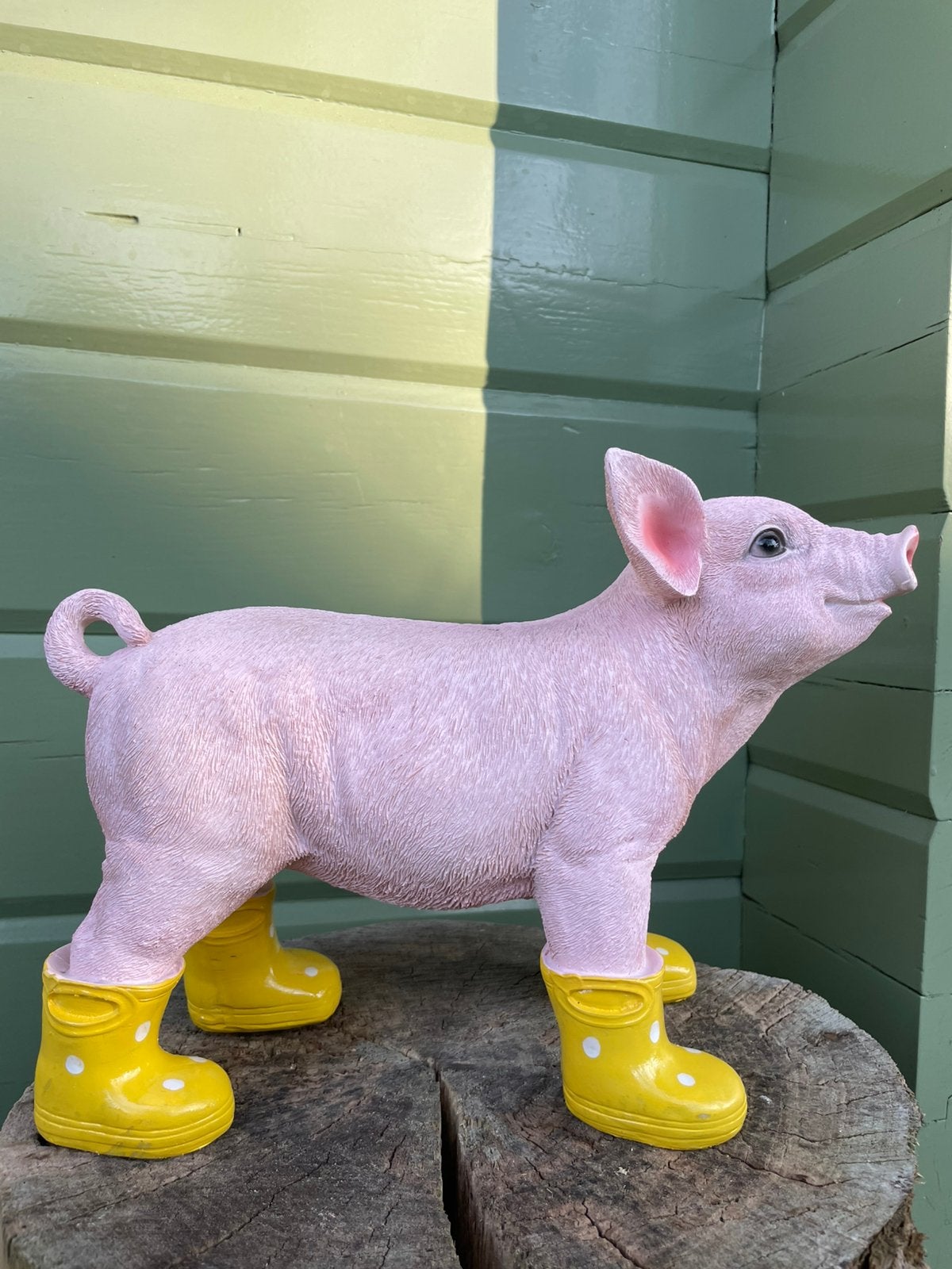 varken gele regenlaarsjes beeld  tuin terras boerderij boer, Tuin en Terras, Tuinbeelden, Ophalen of Verzenden, Nieuw, Kunststof
