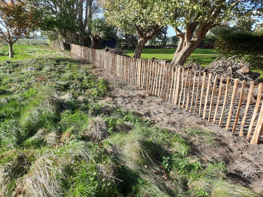 Kastanje hekwerk: scherpe prijzen, goede voorraad!, Ophalen of Verzenden, Nieuw, Hout, Tuinhek
