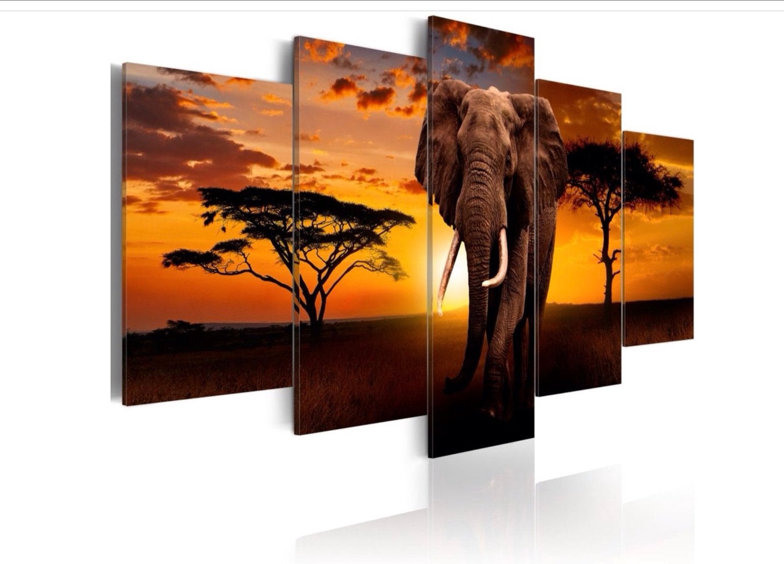 Schilderij - Koning van de Savanne, Olifant, 5 luik nieuw, Ophalen, Nieuw, Schilderij, 100 tot 125 cm