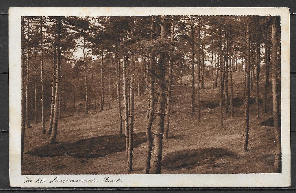 58. Leuvenumsche Bosch beschreven, Ophalen of Verzenden, Voor 1920, Gelopen, Gelderland