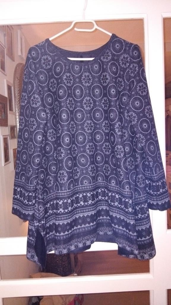 Mooie trui/ shirt A lijn maat 42, Kleding | Dames, Tops, Ophalen of Verzenden, Zo goed als nieuw, Maat 42/44 (L), Lange mouw