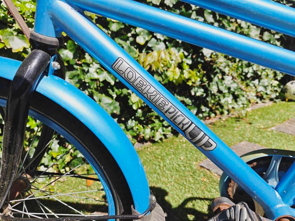 Loekie kinderfiets - Blauw 20 inch, Ophalen, Gebruikt, Overige merken