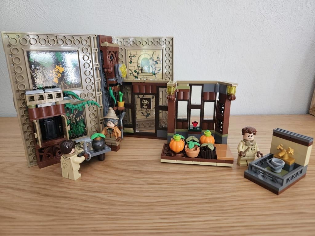 LEGO Harry Potter - 76384 - Herbologieles, Verzamelen, Harry Potter, Zo goed als nieuw, Actiefiguurtje, Ophalen of Verzenden