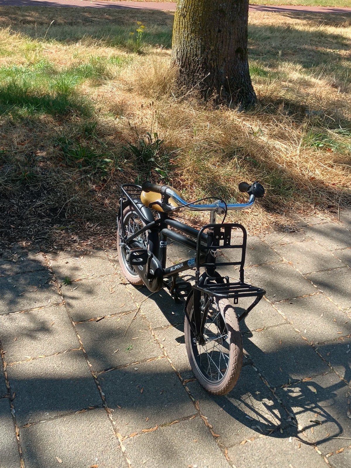 16 inche jongens fiets met rekje voorop merk Alpina zgan, Ophalen, Zo goed als nieuw, 16 tot 20 inch