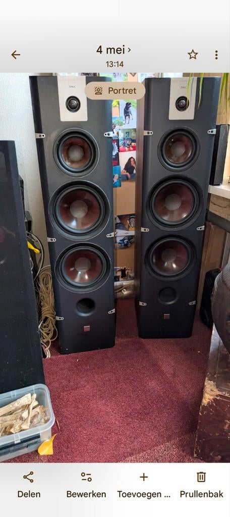 DALI Lektor 8 vloerstaande speakers  walnoot
