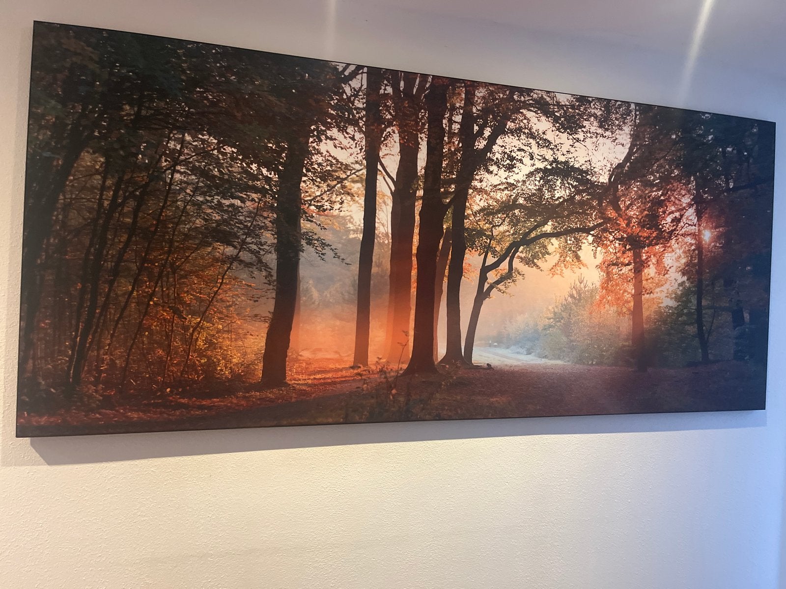 Schilderij Boslandschap Zonsopgang Canvas 240x105, Ophalen, 125 cm of meer, Zo goed als nieuw, Schilderij