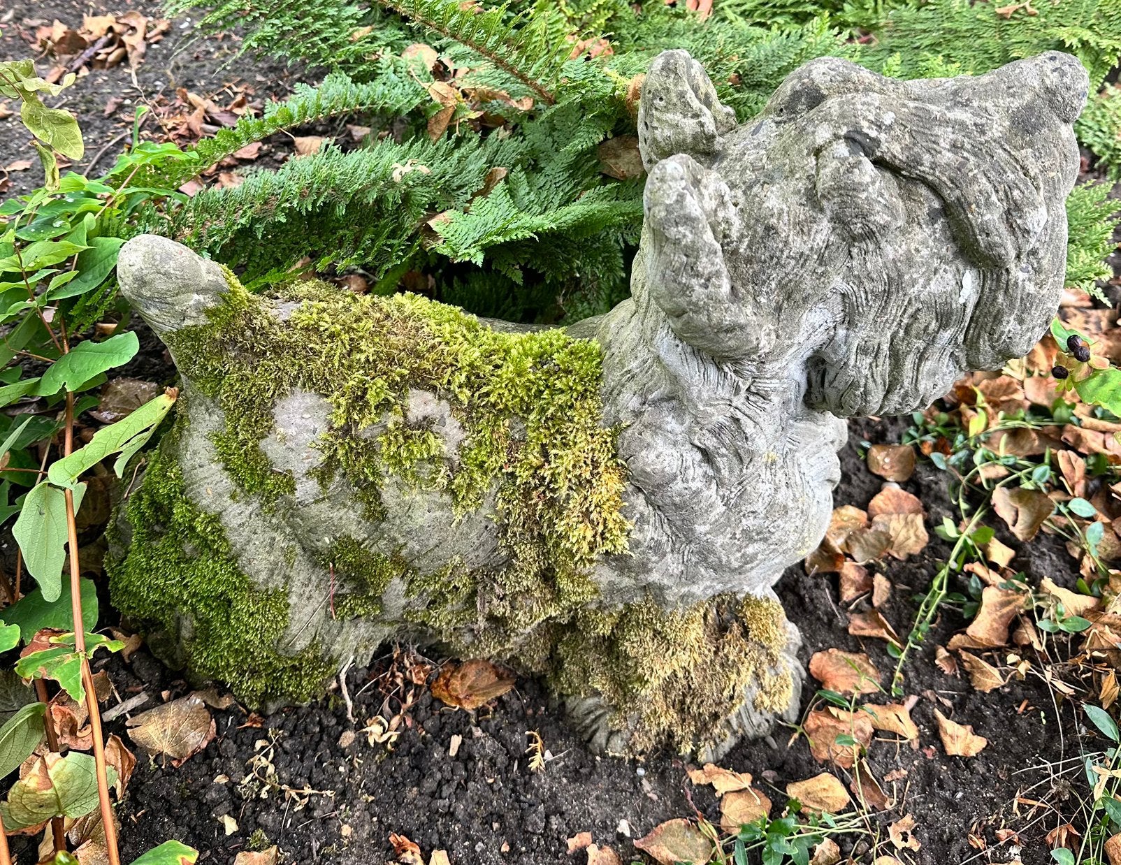 Tuinbeeld hond - Schotse terriër, Tuin en Terras, Tuinbeelden, Ophalen, Gebruikt, Beton, Dierenbeeld