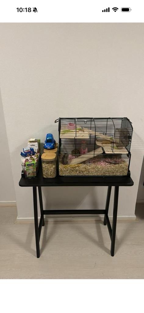 Hamsterkooi compleet met tafel/accessoires, Ophalen, Zo goed als nieuw, 25 tot 50 cm, Rechthoekig