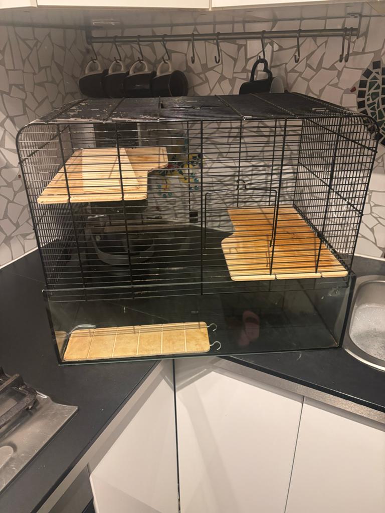 Hamsterkooi, Dieren en Toebehoren, Kooi, Gebruikt, Minder dan 75 cm, Muis