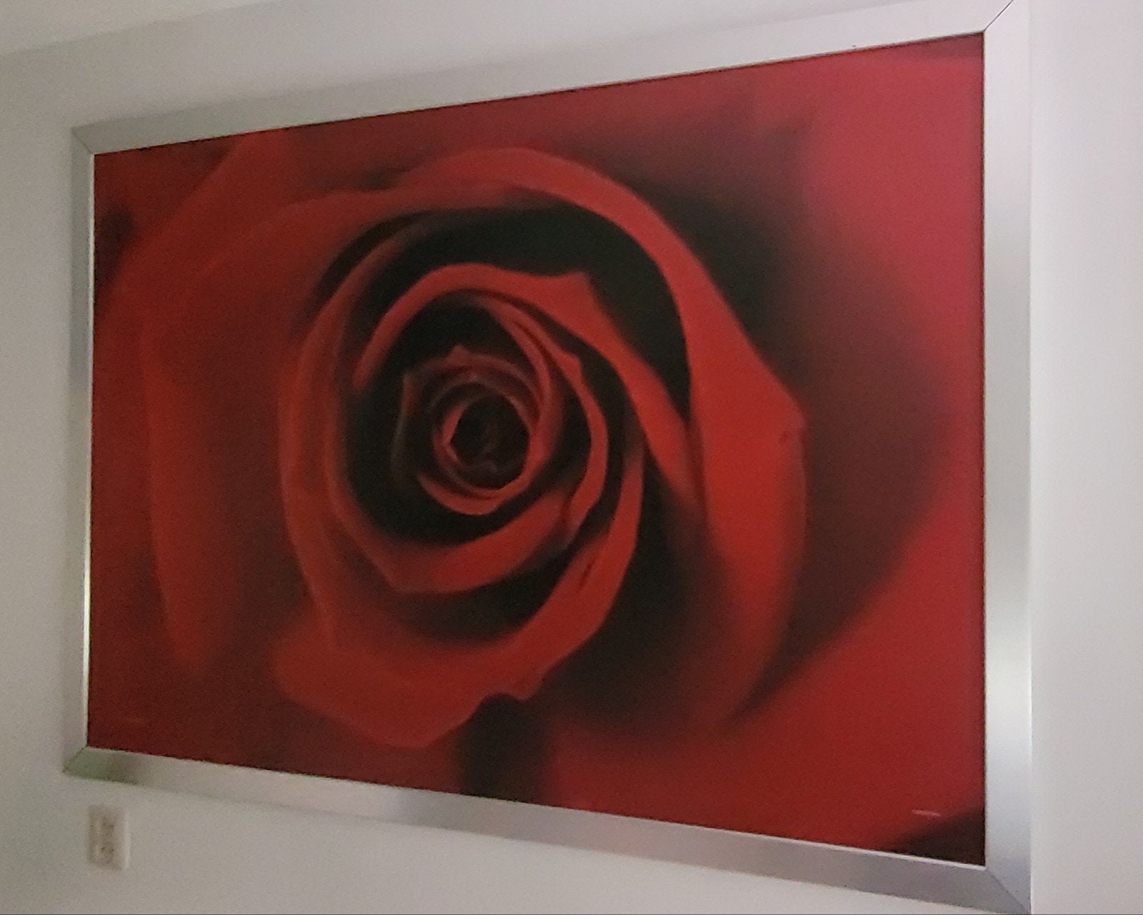 schilderij rode roos, Ophalen