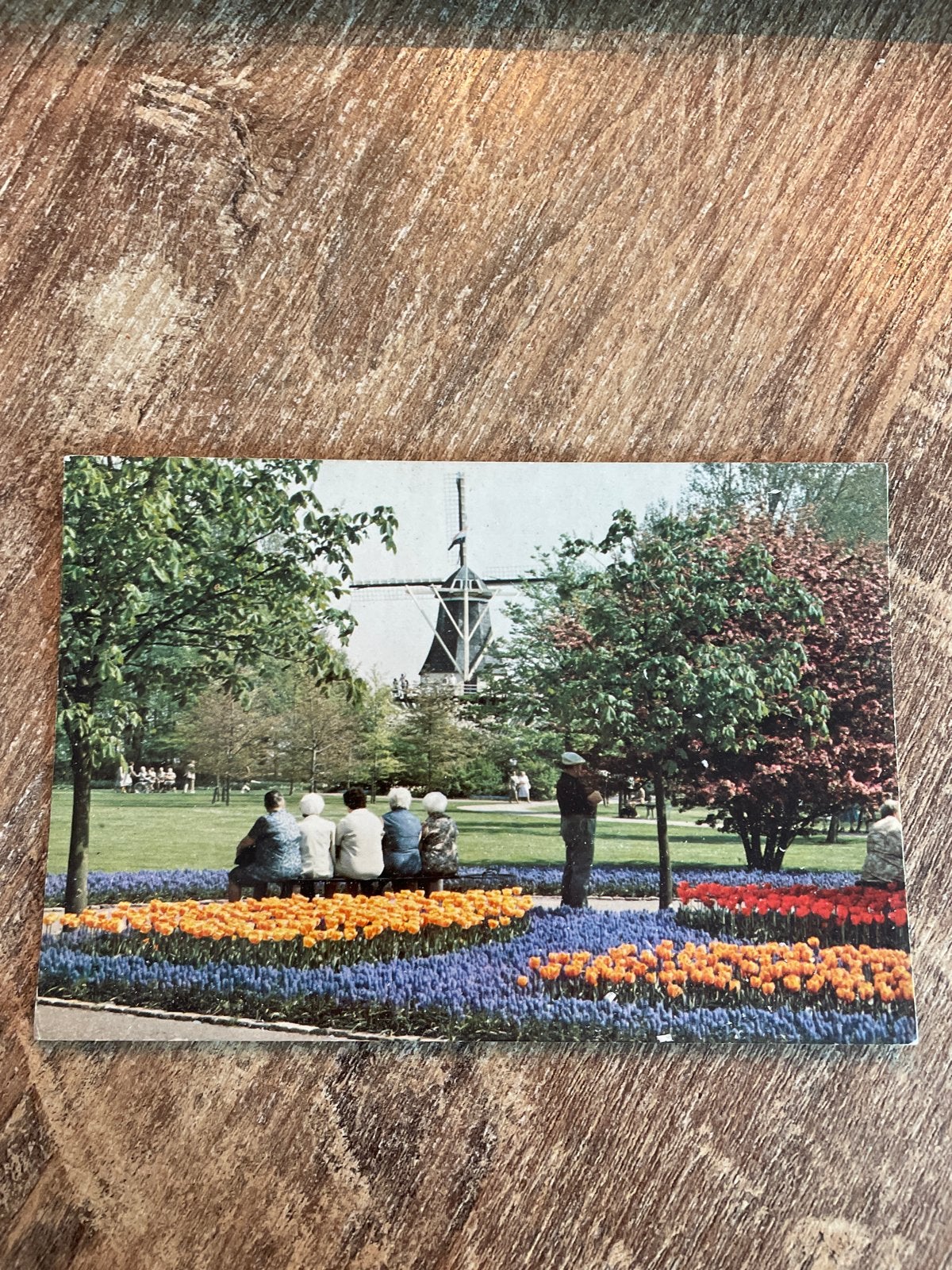Vintage Keukenhof Ansichtkaart - Molen en Bloemen, Ophalen of Verzenden, 1980 tot heden, Gelopen, Zuid-Holland