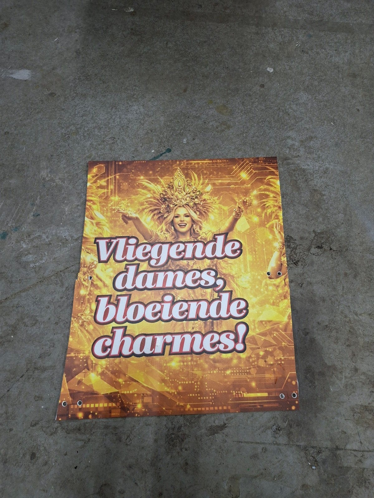 Dames loopgroep, Carnaval, Kleding, Gedragen, Ophalen